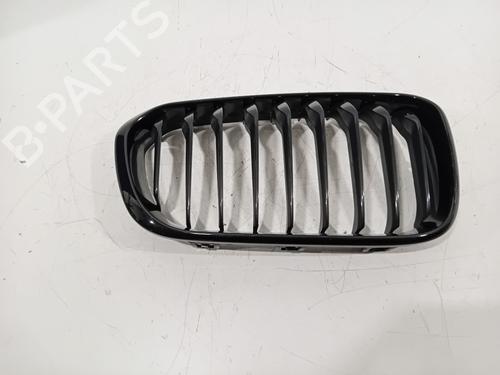 grille-bmw-1-f20-2011-2012-2013-2014-2015-2016-2017-2018-2019-32189460 main image