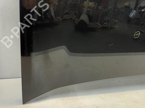 Hood FIAT DOBLO Cargo (263_) 1.3 D Multijet | BP29864267C1
