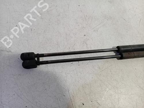 Tailgate lift support MINI MINI (R56) One | BP19086625C138 