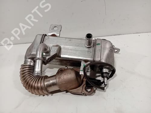 Egr RENAULT TRAFIC III Van (FG_) 1.6 dCi 95 (FGMJ, FGMR) | BP29541068M69 