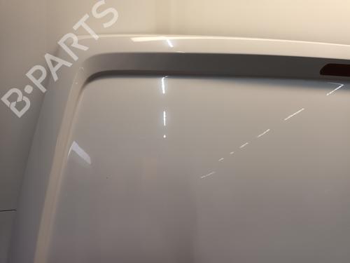 Tailgate VW TRANSPORTER T5 Van (7HA, 7HH, 7EA, 7EH) 2.0 TDI | BP29856334C6 
