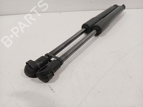 Hood lift support RENAULT SCÉNIC IV (J9_) 1.5 dCi 110 | BP25834962C139 