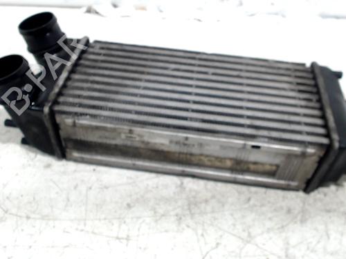 Intercooler FORD FIESTA VI (CB1, CCN) 1.5 TDCi | BP13202718M30 