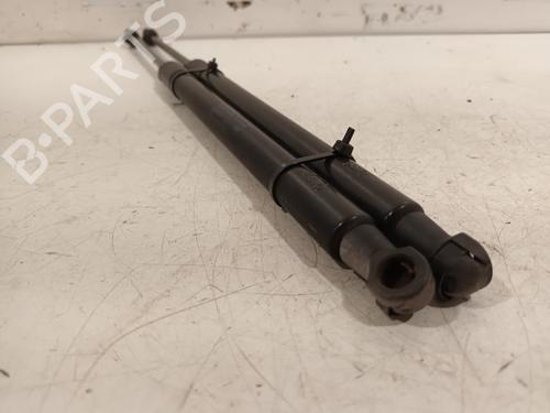 Tailgate lift support SKODA FABIA II (542) 1.2 | BP15716785C138 