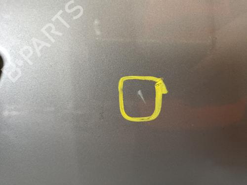 Right rear door SKODA SUPERB II (3T4) 1.9 TDI | BP18964996C5 