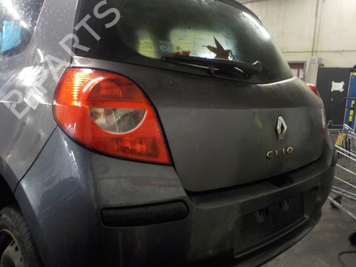 Hood RENAULT CLIO III (BR0/1, CR0/1) 1.2 16V (BR02, BR0J, BR11, CR02, CR0J, CR11) | BP13711203C1 