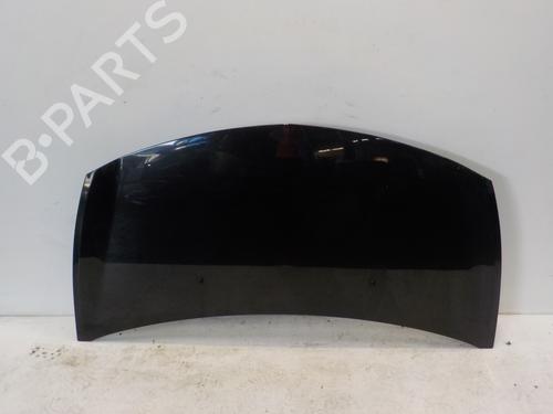 Used Hood RENAULT CLIO III (BR0/1, CR0/1) 1.2 16V (BR02, BR0J, BR11, CR02, CR0J, CR11) (75 hp) 12540964