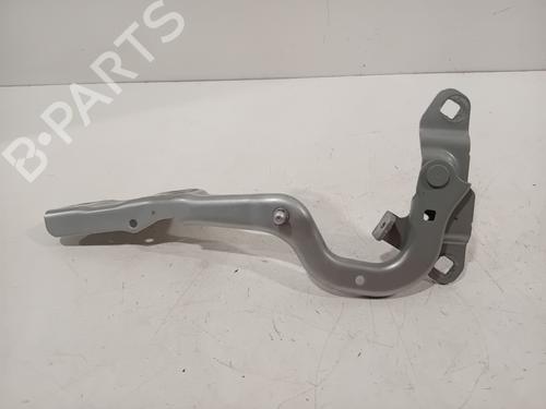 Hinge/Door check strap RENAULT SCÉNIC IV (J9_) 1.3 TCe 160 (J9NC) | BP28282976C146 