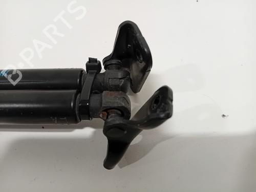 Tailgate lift support CHEVROLET AVEO Hatchback (T300) 1.2 | BP24574232C138 