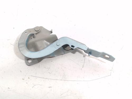Hinge/Door check strap RENAULT ZOE (BFM_) ZOE | BP13207669C146 