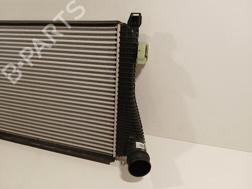 Intercooler VW GOLF VIII (CD1, DA1) 2.0 TSI R 4motion | BP29447049M30 