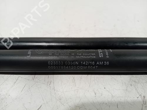 Tailgate lift support FIAT 500 (312_) 1.2 (312AXA1A) | BP21112533C138 