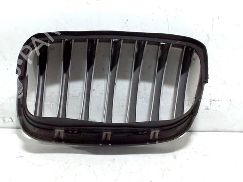 Grille BMW X5 (E70) xDrive 30 d | BP13204102C40 