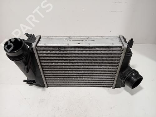 Intercooler Intercooler RENAULT SCÉNIC IV (J9_) 1.2 TCe 130 (130 hp) 39885950 39885950