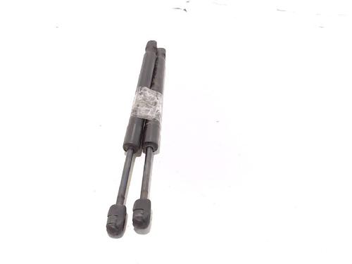 Tailgate lift support AUDI A4 B7 Avant (8ED) 2.0 TDI 16V | BP13199908C138 