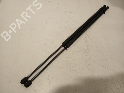 Used Tailgate lift support Tailgate lift support 25116007 25116007
