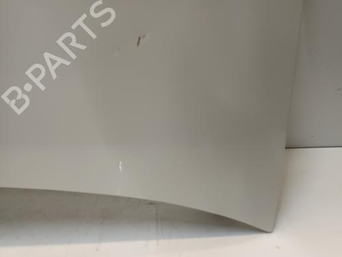 Cofano anteriore VW CADDY III Box Body/MPV (2KA, 2KH, 2CA, 2CH) 2.0 SDI | BP30612954C1