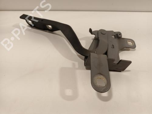 Hinge/Door check strap RENAULT CLIO IV (BH_) 0.9 TCe 90 (BHNF, BHMA, BHMH, BHJK, BHJR) | BP16444413C146 