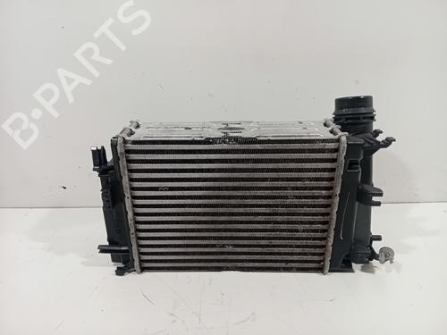 Intercooler RENAULT SCÉNIC IV (J9_) 1.3 TCe 160 (J9NC) (159 hp) 30709017