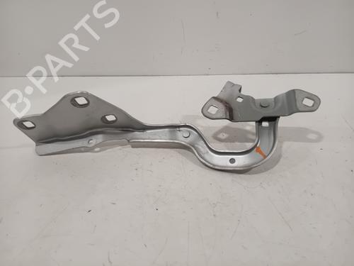 Hinge/Door check strap RENAULT SCÉNIC IV (J9_) 1.3 TCe 160 (J9NC) | BP28282975C146 