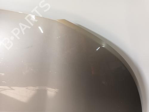 Hood CITROËN C3 Picasso (SH_) 1.6 VTi 120 | BP29563629C1 