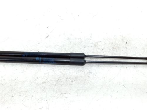 Used Tailgate lift support RENAULT MEGANE IV Grandtour (K9A/M/N_) 1.5 dCi 110 (110 hp) 13204679