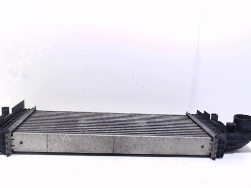 Intercooler MERCEDES-BENZ M-CLASS (W164) ML 280 CDI 4-matic (164.120) | BP13199348M30 