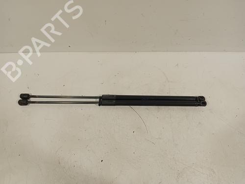 Tailgate lift support BMW X1 (E84) sDrive 18 d | BP24863977C138 