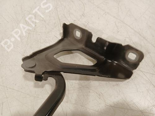 Hinge/Door check strap RENAULT CLIO V (B7_) 1.3 TCe 130 (B7MF) | BP37799449C146 - Image 3