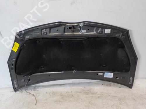 Hood TOYOTA COROLLA Verso (ZER_, ZZE12_, R1_) 2.2 D-4D (AUR10_, AUR10R) | BP15101256C1 