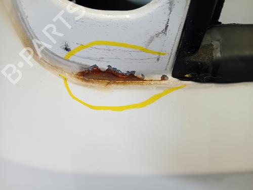 Left front door CITROËN NEMO Box Body/MPV (AA_) 1.4 | BP19154895C2 