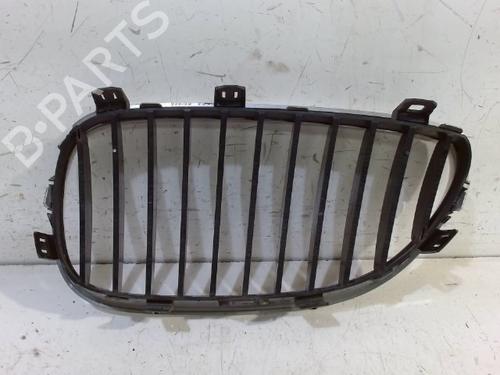 Grille BMW 5 (E60) 520 i | BP13202303C40 