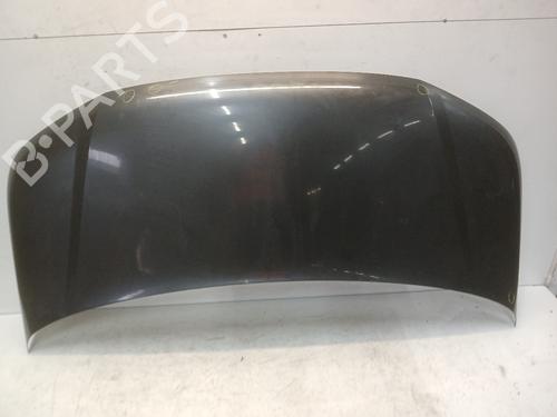 Used Hood Hood VW TRANSPORTER T5 Van (7HA, 7HH, 7EA, 7EH) 2.0 BiTDI 4motion (180 hp) 39903970 39903970