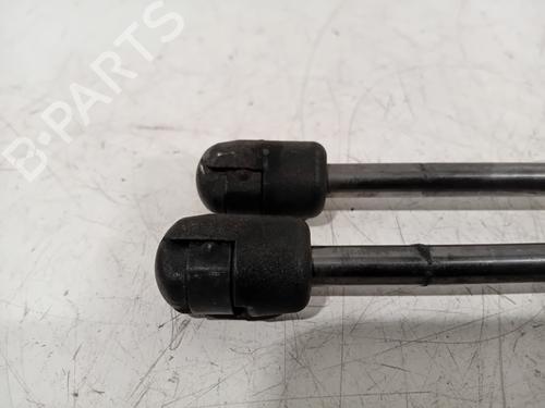 Tailgate lift support FORD FOCUS III 1.0 EcoBoost | BP20312400C138 
