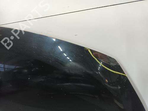 Hood RENAULT CLIO IV (BH_) 0.9 TCe 90 (BHNF, BHMA, BHMH, BHJK, BHJR) | BP31856704C1