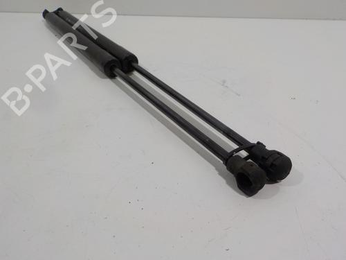 Tailgate lift support PEUGEOT 308 SW II (LC_, LJ_, LR_, LX_, L4_) 1.6 BlueHDi 120 | BP16946448C138 
