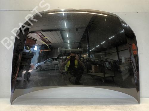 Cofano anteriore Cofano anteriore VW POLO V (6R1, 6C1) 1.2 TDI (75 hp) 33848145 33848145