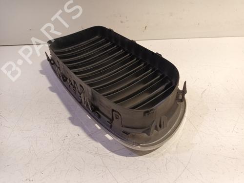 Grille BMW 5 (F10) 528 i xDrive | BP17185932C40 