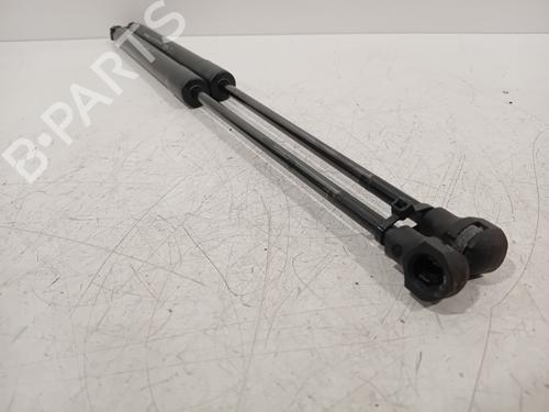 Tailgate lift support DACIA SANDERO II TCe 90 (B8M1, B8MA, B8AC) | BP22387788C138 