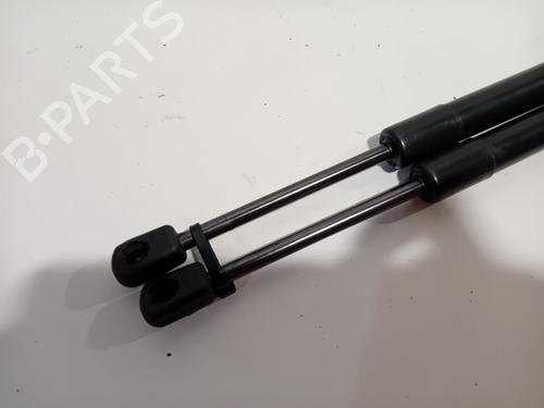 Hood lift support BMW 1 (F20) 116 i | BP29918320C139