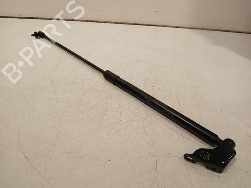 tailgate-lift-support-citroen-c4-grand-picasso-ii-da_-de_-2013-27316490 main image