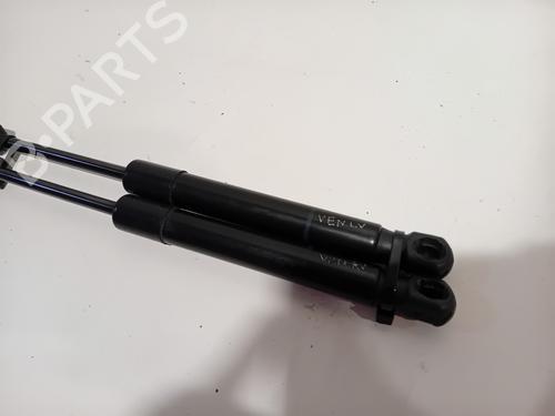 Hood lift support BMW 1 (F20) 116 i | BP29918320C139