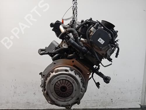 Engine VW POLO V (6R1, 6C1) 1.6 TDI | BP30460159M1 