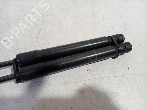 Hood lift support BMW 1 (F20) 118 i | BP18950728C139