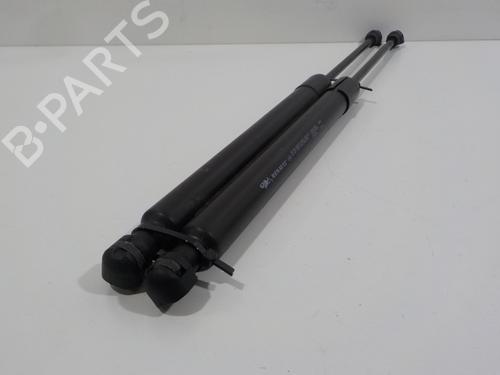 Tailgate lift support RENAULT ZOE (BFM_) ZOE | BP17087893C138 