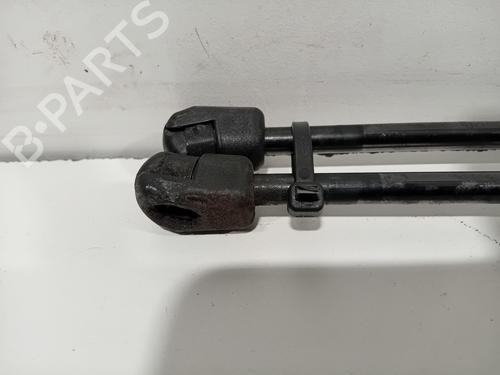 Tailgate lift support FIAT TIPO Estate (356_, 357_) 1.4 (356WXF1B) | BP25009835C138