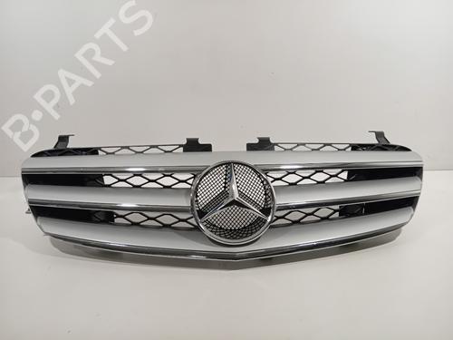 Used Grille MERCEDES-BENZ R-CLASS (W251, V251) R 350 (251.056, 251.156) (272 hp) 29634834