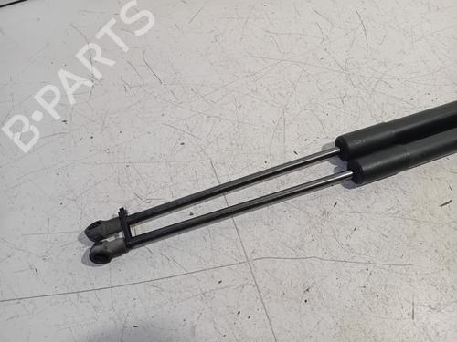 Tailgate lift support VW GOLF VII (5G1, BQ1, BE1, BE2) 1.4 TSI | BP29275474C138 