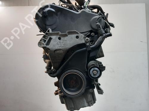 Engine VW GOLF VI (5K1) 1.6 TDI | BP37181216M1 - Image 3