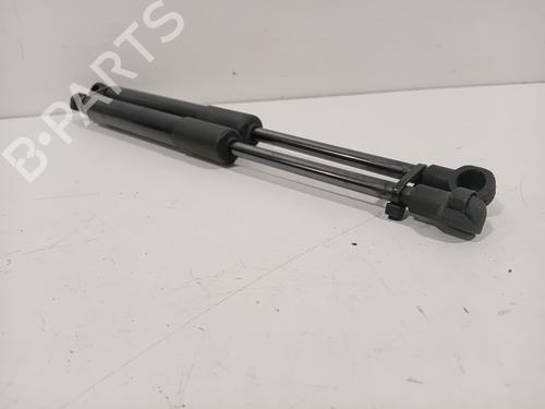 Hood lift support RENAULT SCÉNIC IV (J9_) 1.5 dCi 110 | BP25834962C139 